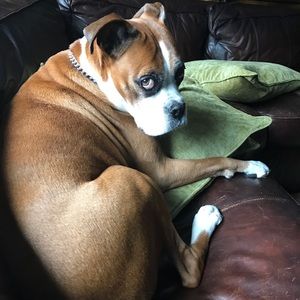 Meet your Posher, Danielle